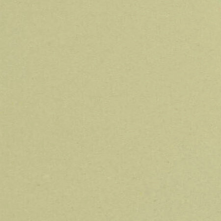 COLOR CREMA